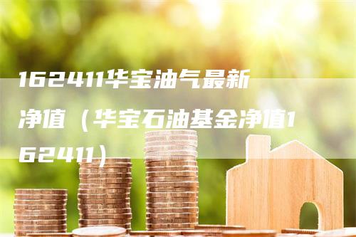 162411华宝油气最新净值（华宝石油基金净值162411）_https://www.gkizvl.com_原油期货_第1张