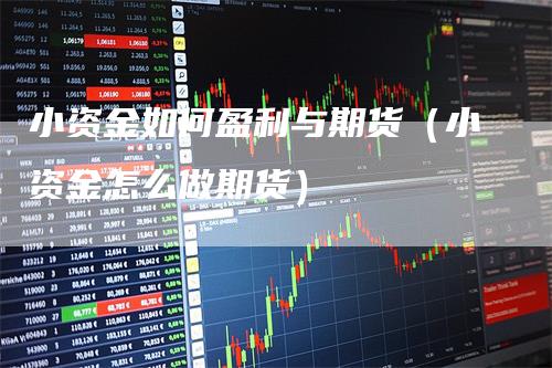 小资金如何盈利与期货（小资金怎么做期货）_https://www.gkizvl.com_期货百科_第1张