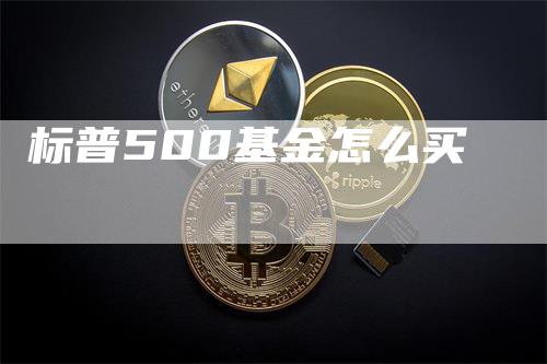 标普500基金怎么买_https://www.gkizvl.com_期货平台_第1张