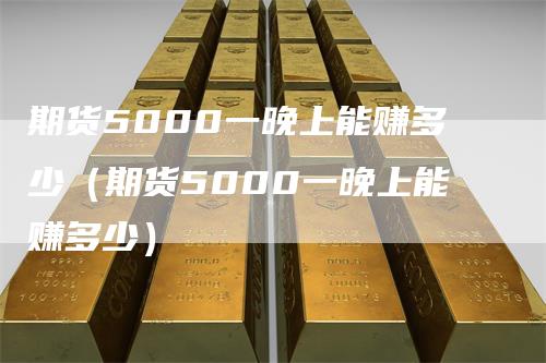 期货5000一晚上能赚多少（期货5000一晚上能赚多少）_https://www.gkizvl.com_期货百科_第1张