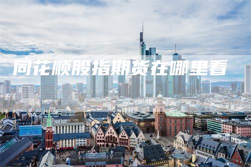 同花顺股指期货在哪里看_https://www.gkizvl.com_国际期货_第1张