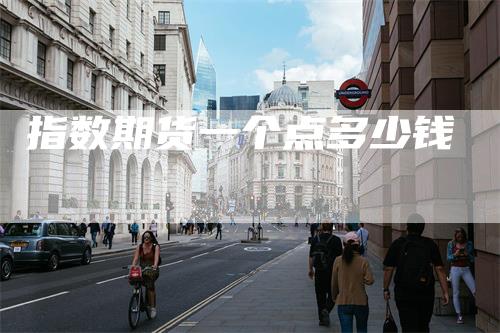 指数期货一个点多少钱_https://www.gkizvl.com_期货交易_第1张