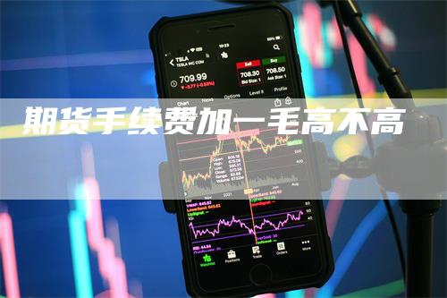 期货手续费加一毛高不高_https://www.gkizvl.com_期货直播_第1张