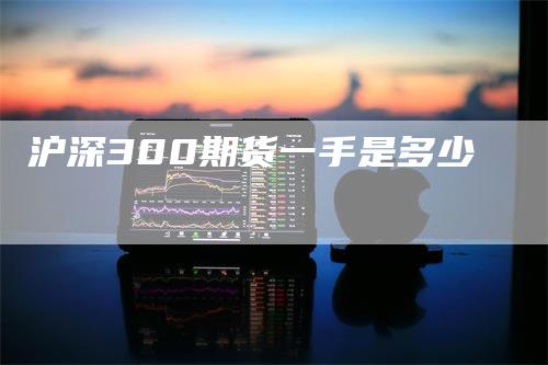 沪深300期货一手是多少_https://www.gkizvl.com_期货交易_第1张