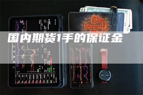 国内期货1手的保证金_https://www.gkizvl.com_期货交易_第1张