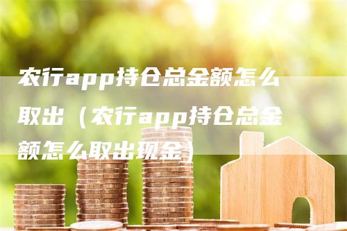 农行app持仓总金额怎么取出（农行app持仓总金额怎么取出现金）_https://www.gkizvl.com_期货入门_第1张