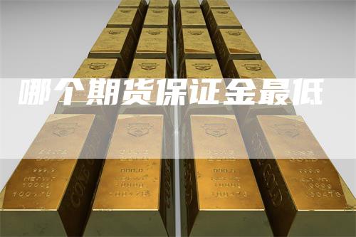 哪个期货保证金最低_https://www.gkizvl.com_期货百科_第1张