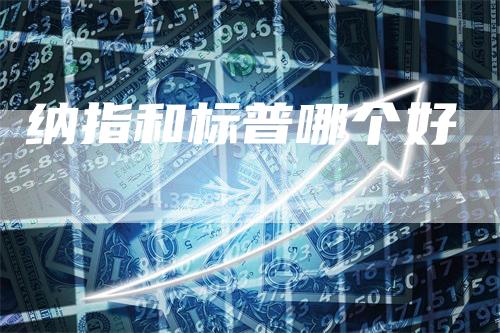 纳指和标普哪个好_https://www.gkizvl.com_期货喊单_第1张