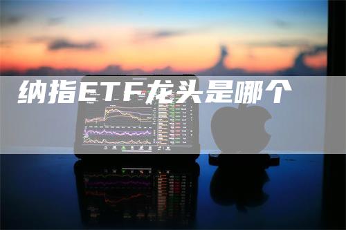纳指ETF龙头是哪个_https://www.gkizvl.com_期货直播_第1张