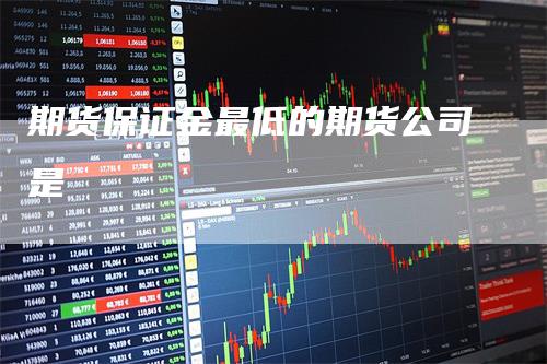 期货保证金最低的期货公司是_https://www.gkizvl.com_期货技术_第1张