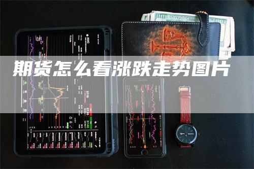 期货怎么看涨跌走势图片_https://www.gkizvl.com_期货喊单_第1张