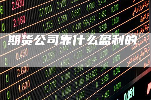 期货公司靠什么盈利的_https://www.gkizvl.com_期货喊单_第1张